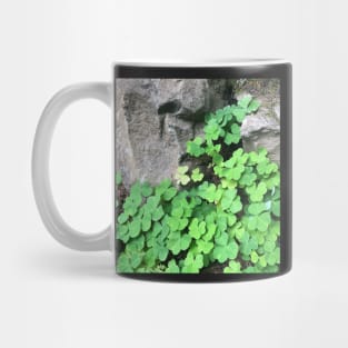 Be Lucky and Smell the Fresh Green Clover! Mug